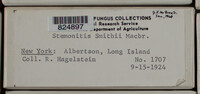 Image Associated With the Occurence